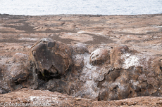 Galapagos-Natur1.jpg